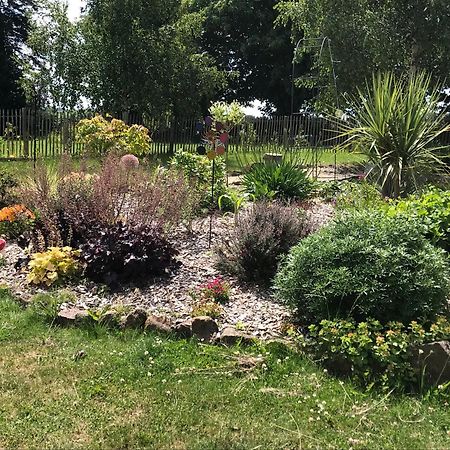 Le Jardin Des Fees Panzió Savigny-le-Vieux Kültér fotó